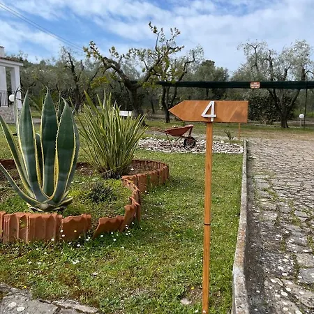 4 *